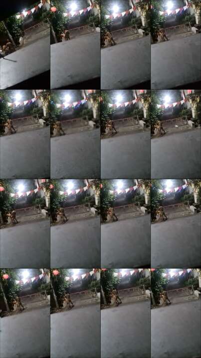Video Doggy Di Portal Komplek