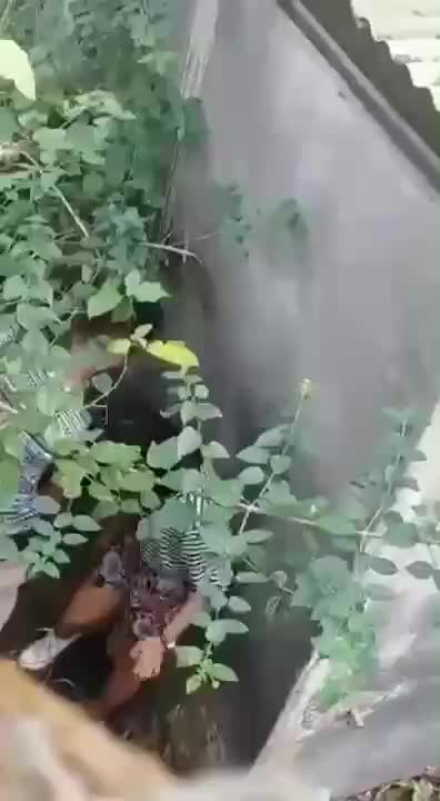 Video Ml Di Balik Tembok