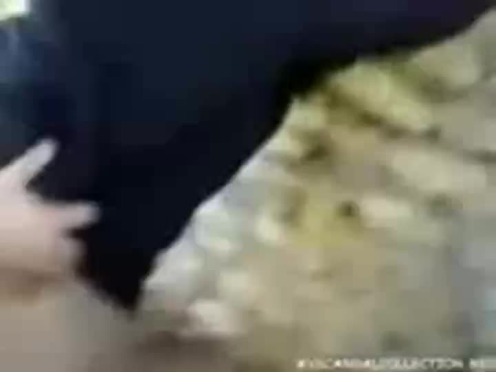 Video Ngentot Cewek Liar Seru Abis