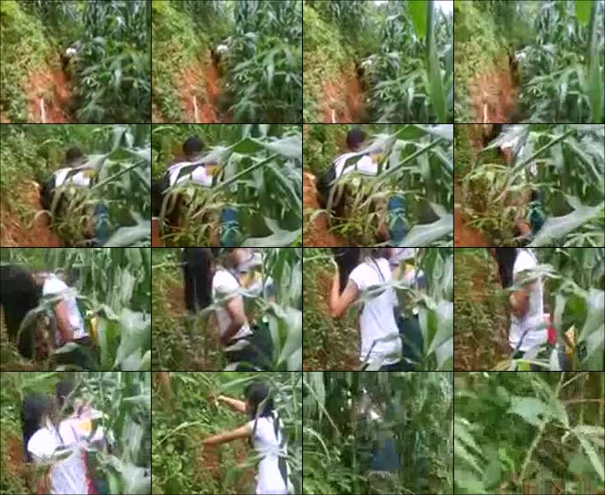 Video Ngintip Abg Di Kebun Singkong